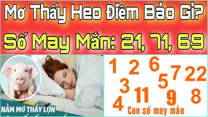 Tại sao giấc mơ thấy lợn lại quan trọng?