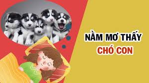 Giấc mơ thấy chó mang ý nghĩa gì?
