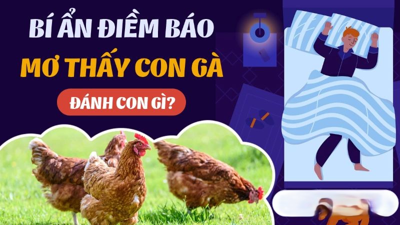 Mơ Thấy Gà Là Điềm Báo Gì?