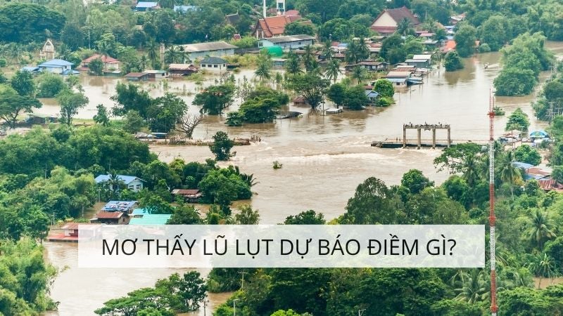 Mơ thấy lũ lụt là điềm gì? Giải mã giấc mơ theo tâm linh